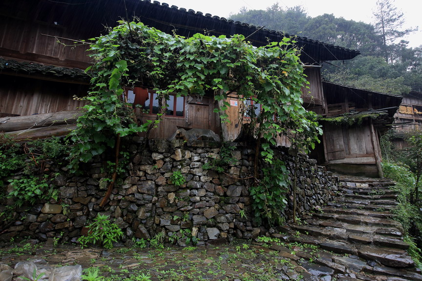 【国保系列】贵州雷山县郎德上寨古建筑群