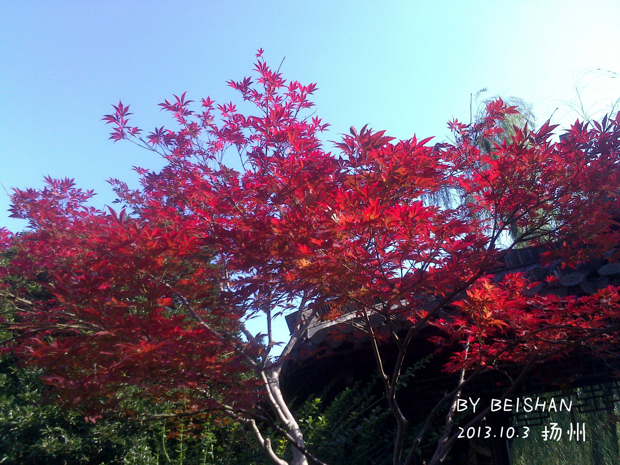 wKgB4lOkXMqAWOO8AA-b7TM02wE02.jpeg?imageView2%2F2%2Fw%2F2000%2Fh%2F600%2Fq%2F90%7Cwatermark%2F3%2Fimage%2FaHR0cDovL2MyLXEubWFmZW5nd28ubmV0L3M5L00wMC82My84RS93S2dCczFaTmVzV0FZb29JQUFBU2JNMElpRjQyNDEucG5n%2Fgravity%2FSouthEast%2Fdx%2F20%2Fdy%2F20%2Fimage%2FaHR0cDovL2MyLXEubWFmZW5nd28ubmV0L3M5L00wMC82My84RS93S2dCczFaTmVzV0FZb29JQUFBU2JNMElpRjQyNDEucG5n%2Fgravity%2FSouthEast%2Fdx%2F20%2Fdy%2F20
