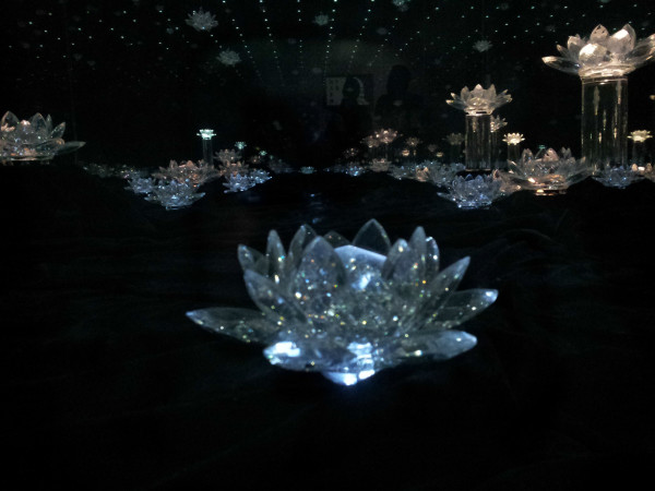 蓝色妖姬是真的吗 wKgB4lOMXeyAZCu2AAguq_Ne-Es21.jpeg?imageView2%2F2%2Fw%2F600%2Fq%2F90%7CimageMogr2%2Fstrip%2Fquality%2F90