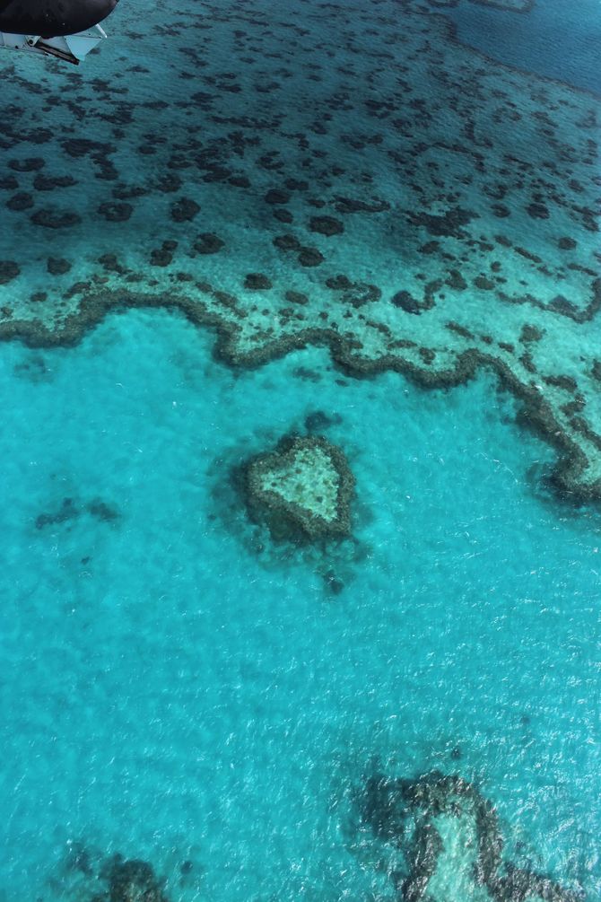 母女二人游走澳大利亚 自驾1000公里 （黄金海...