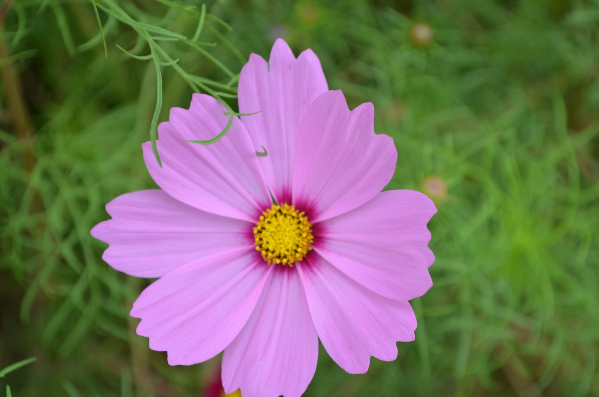 wKgB4lYvNYuAJN8RAAUE3i9k9Hs37.jpeg?imageView2%2F2%2Fw%2F680%2Fq%2F90%7CimageMogr2%2Fstrip%2Fquality%2F90