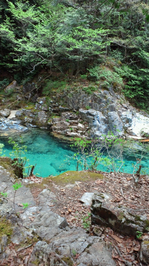 日本长野深山沟里的阿寺溪谷