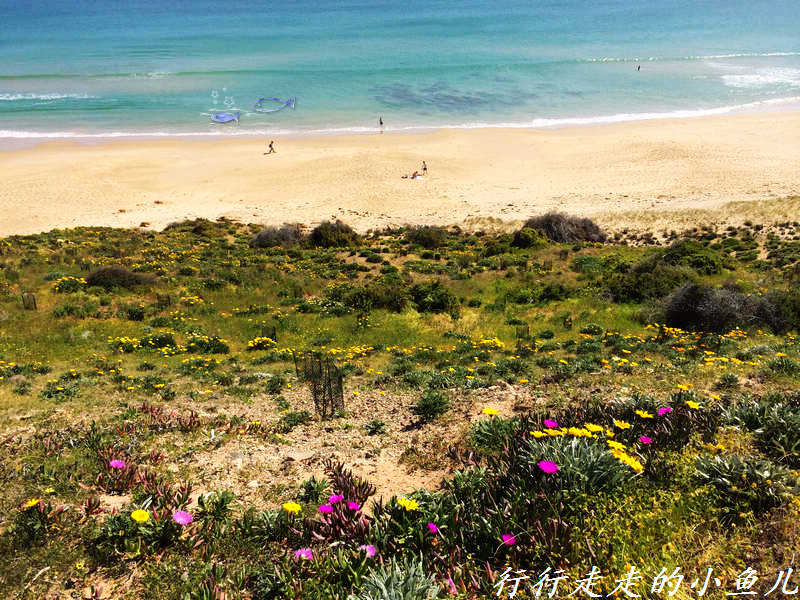 澳洲官方认可的裸体海滩，享受阳光最赤裸的方式 