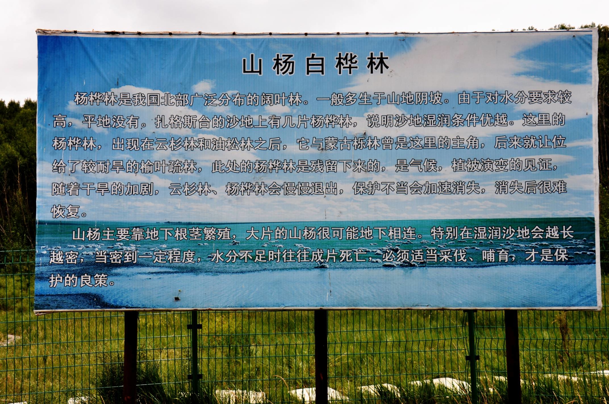 2014年8月北京-太仆寺-锡林浩特-达里湖-黄岗梁...