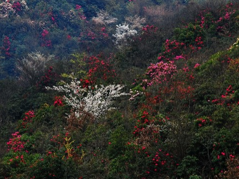 毕节图片