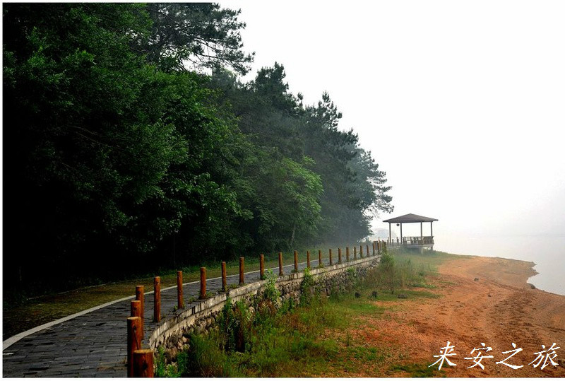 游来安白鹭岛参观林桥苗木基地 席家花园书画交流