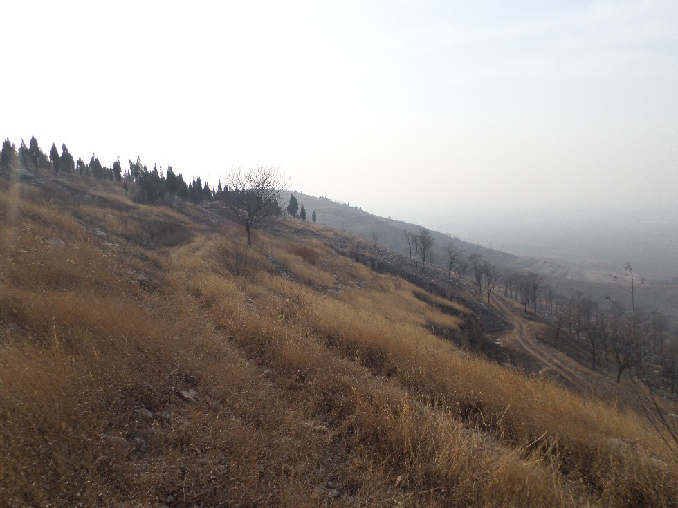 【滕州景点图片】龙山