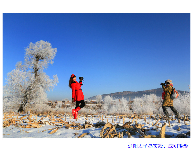 辽阳太子岛看雪景，赏雾凇，让您走入童话般的...