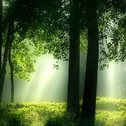 不齐不甜小周天