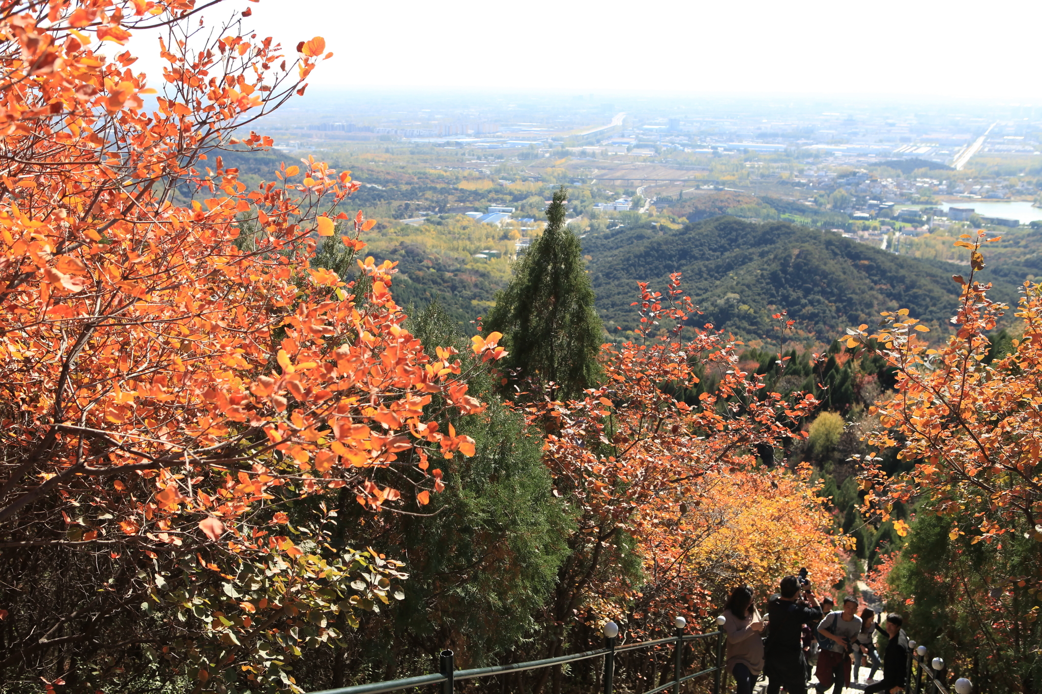 怀柔区红螺寺公园里的红叶,红螺寺旅游攻略 马蜂窝