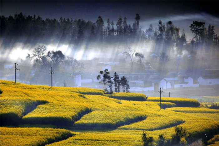 罗平县gdp_信宜玉都风情网 航拍云南罗平万顷油菜花怒放 中国式花海美哭驴友中国经济网曲靖2月13日讯 2月6日,云南省曲靖市(3)
