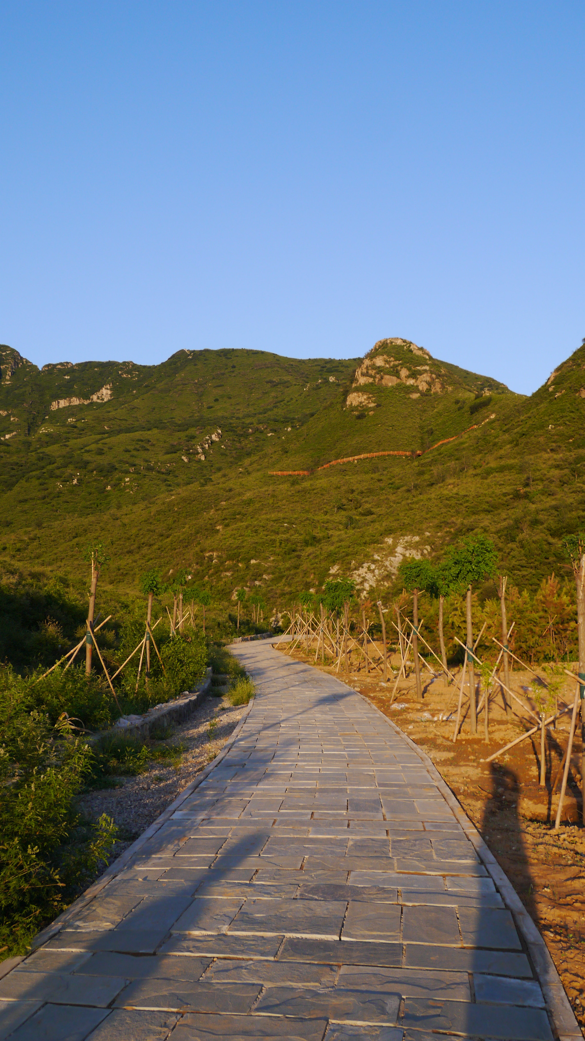 2014年8月6日 顺义 舞彩浅山滨水国家登山健身步道 木林段