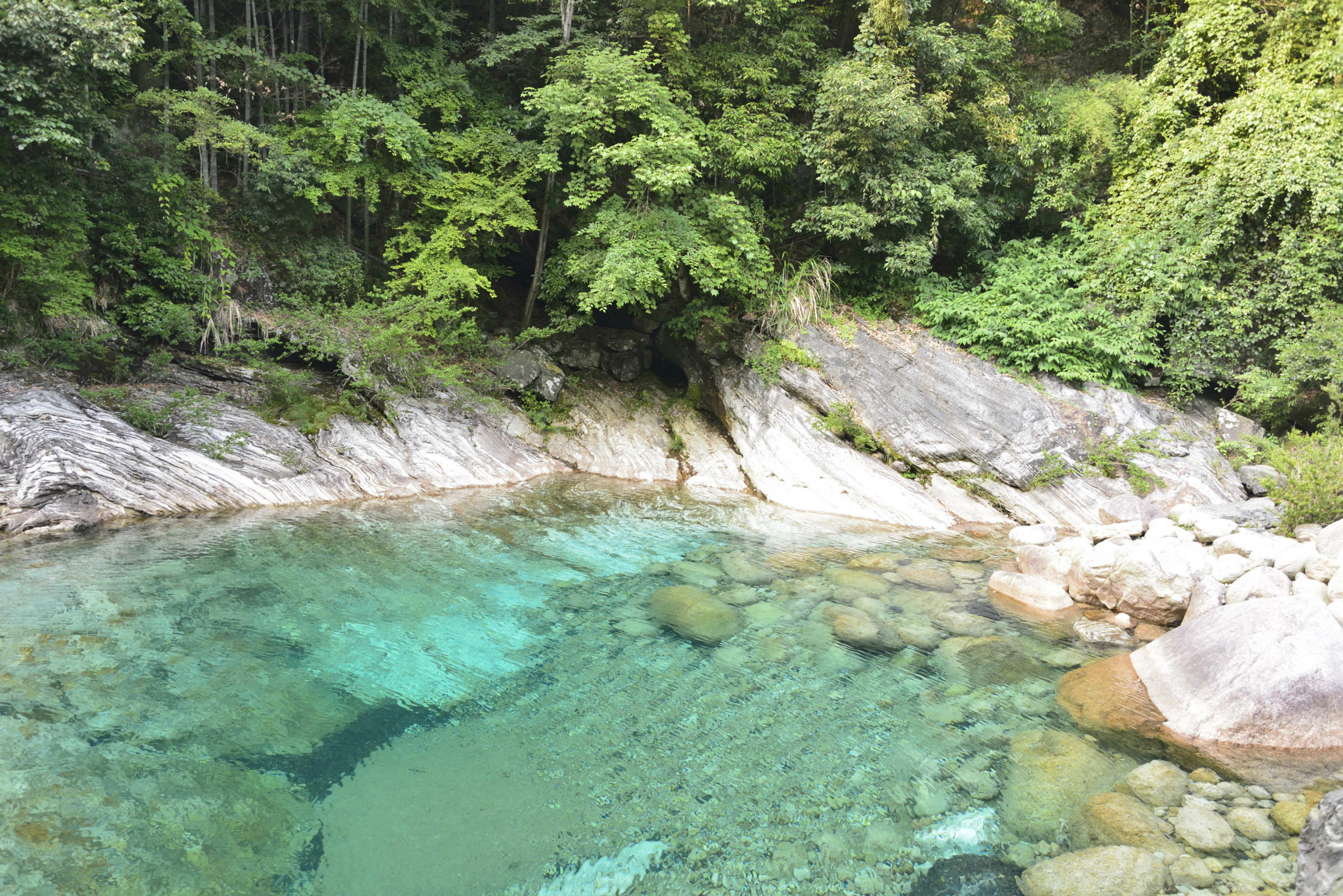 《黄山自由行攻略》黄山好风光《黄山自由行攻略》_游记