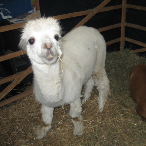 每天开心多一点儿