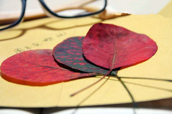 北京哪里看紅葉好， 北京14個(gè)紅葉觀賞地推薦