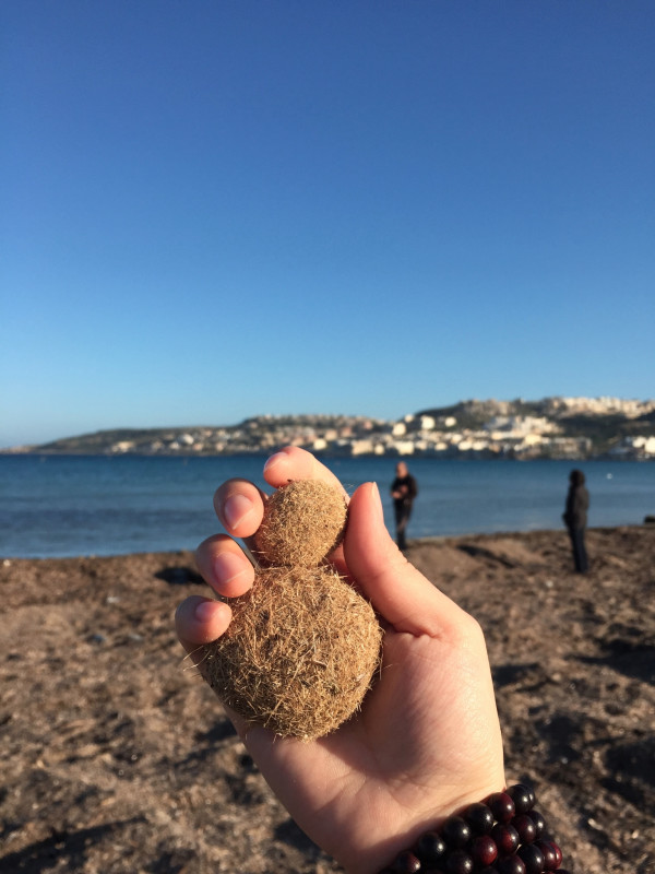 一个人的马耳他。20150107