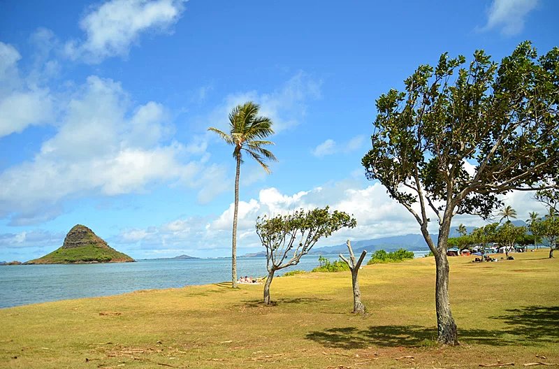 夏威夷总人口多少_瓦湖岛是夏威夷群岛人口最多的岛,也是夏威夷州人文和经济(2)