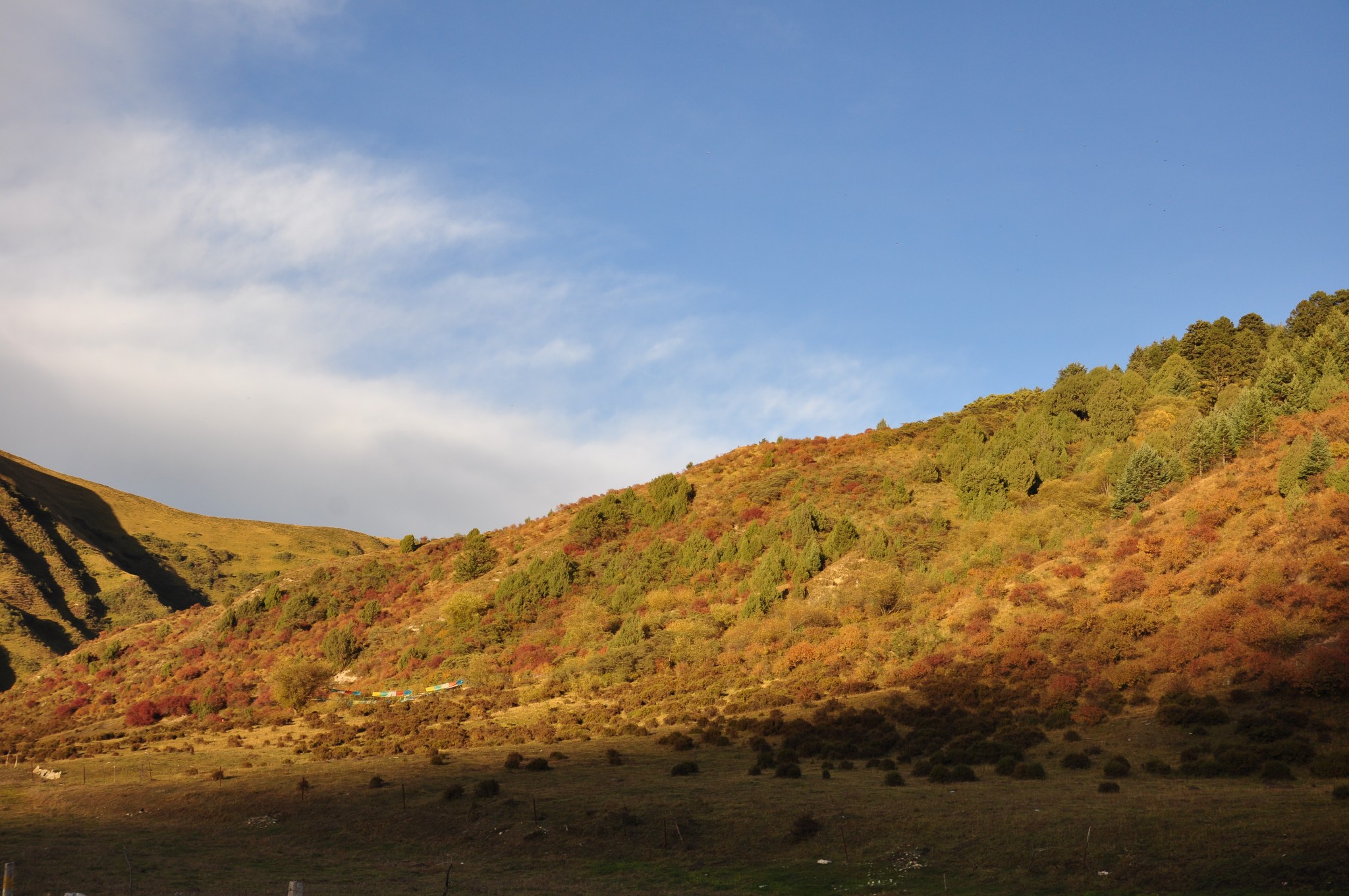不得不推荐的自驾游线路_游记