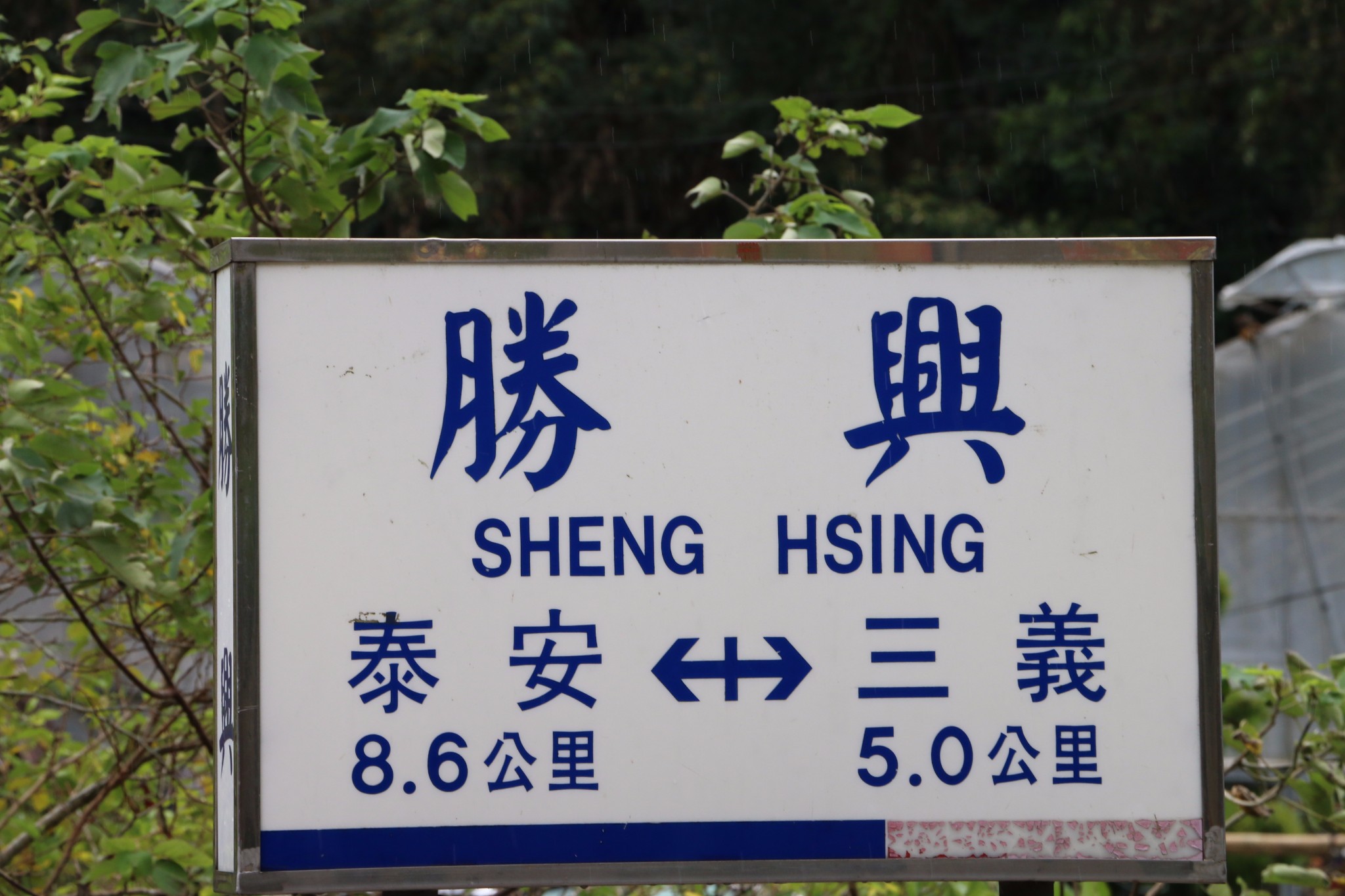 桐花山城三義勝興車站_游记