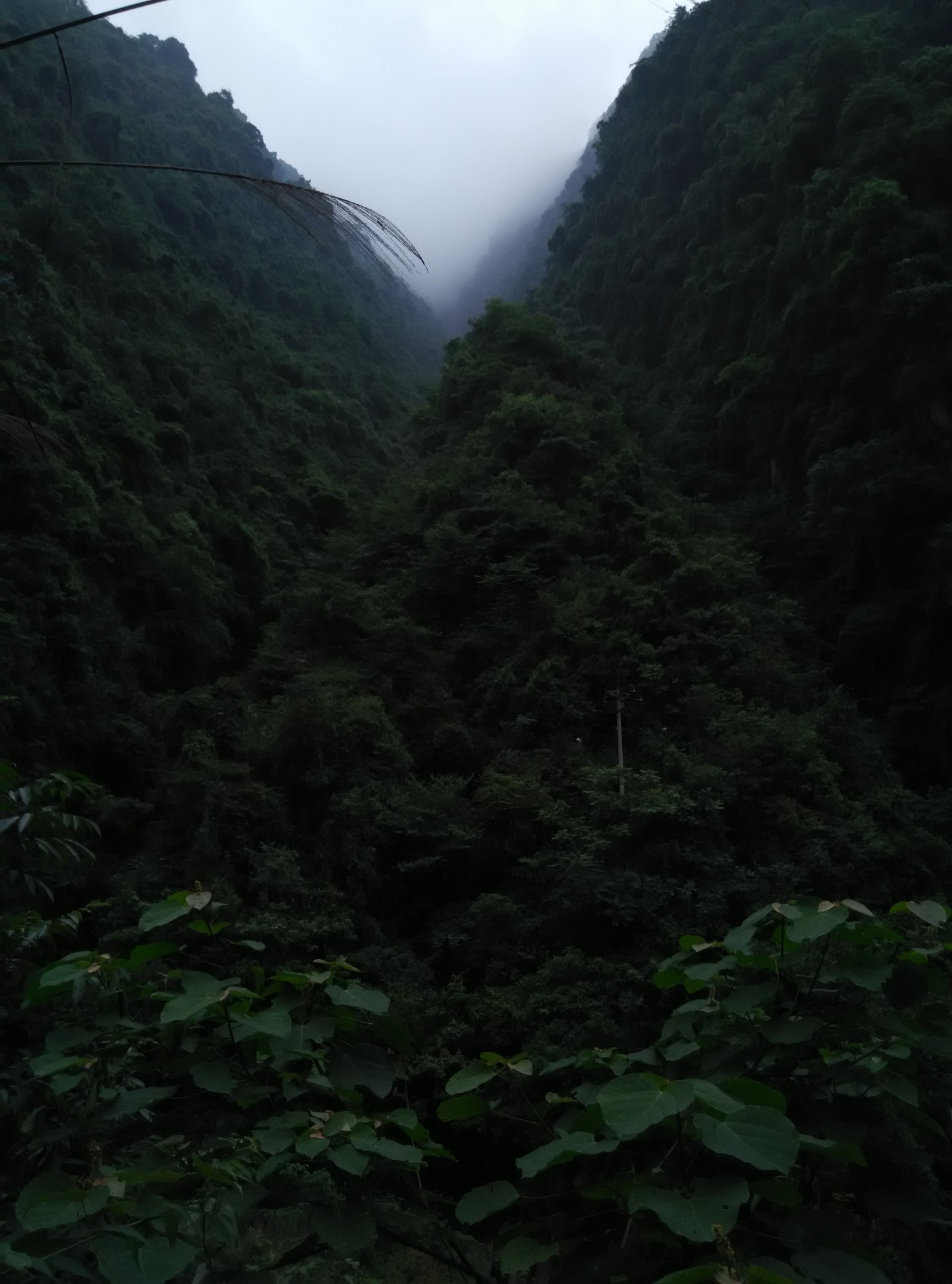 我独自走在郊外的小路上曲谱_走在乡间的小路上曲谱