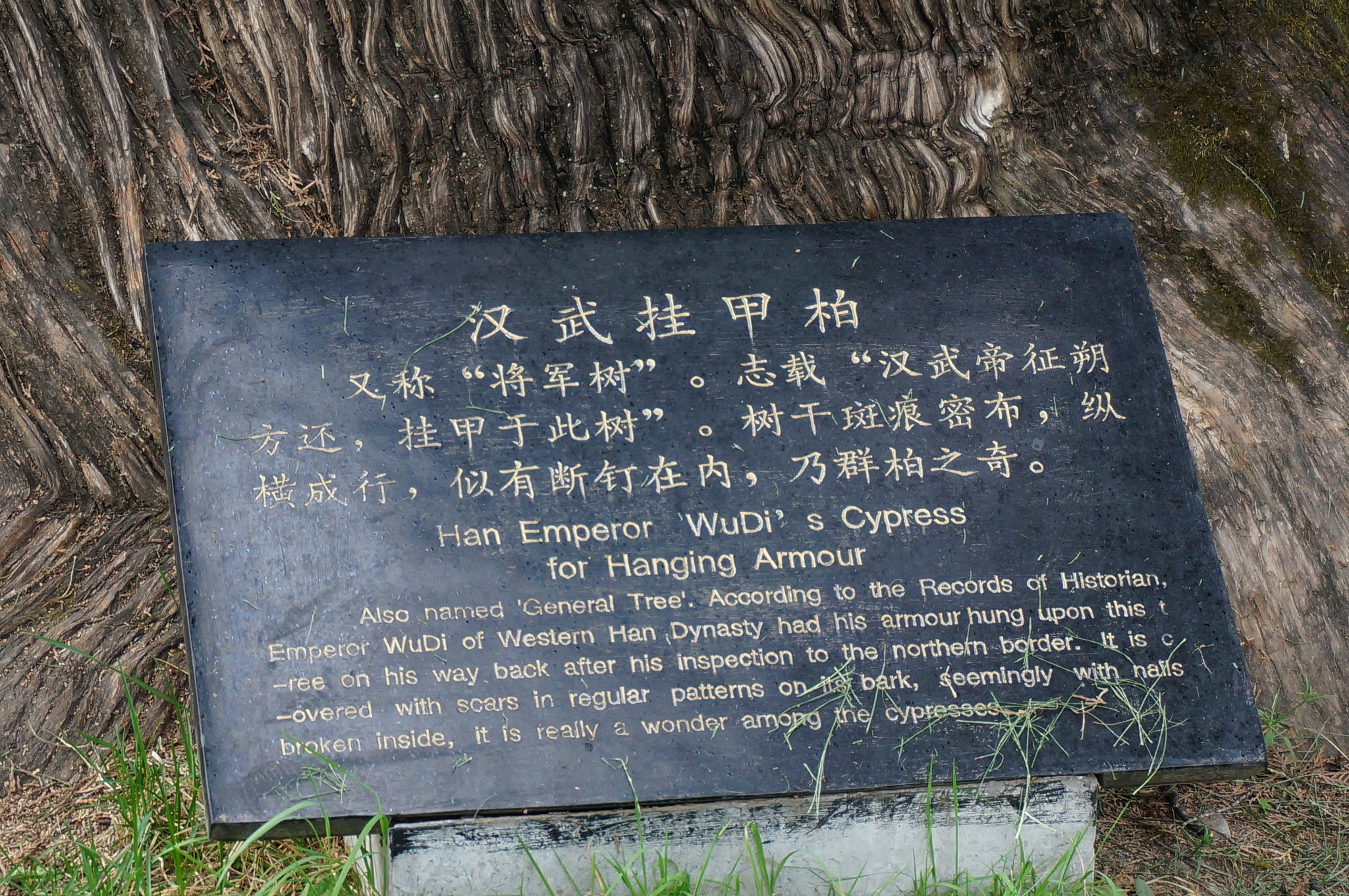 柏姓人口数_人口普查图片