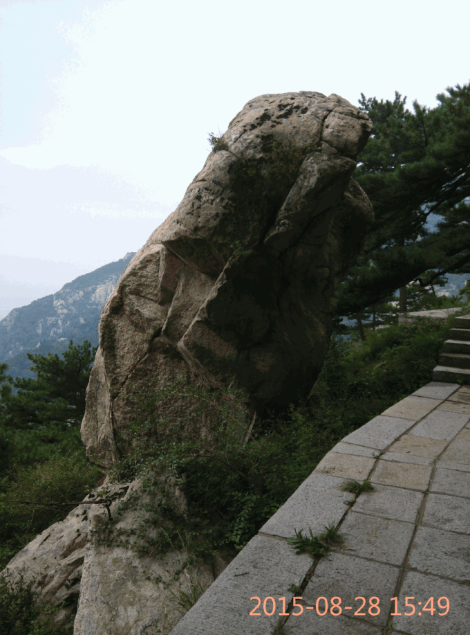 爬泰山费用