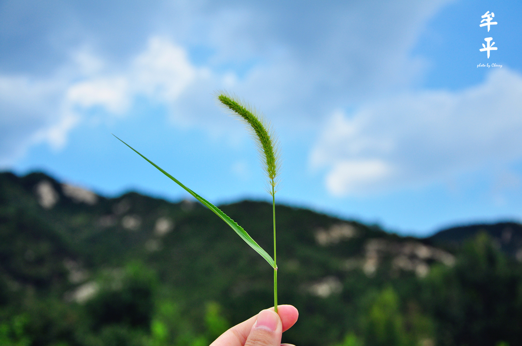 山东，安丘之旅