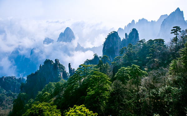 【黄山图片】黄山旅游攻略