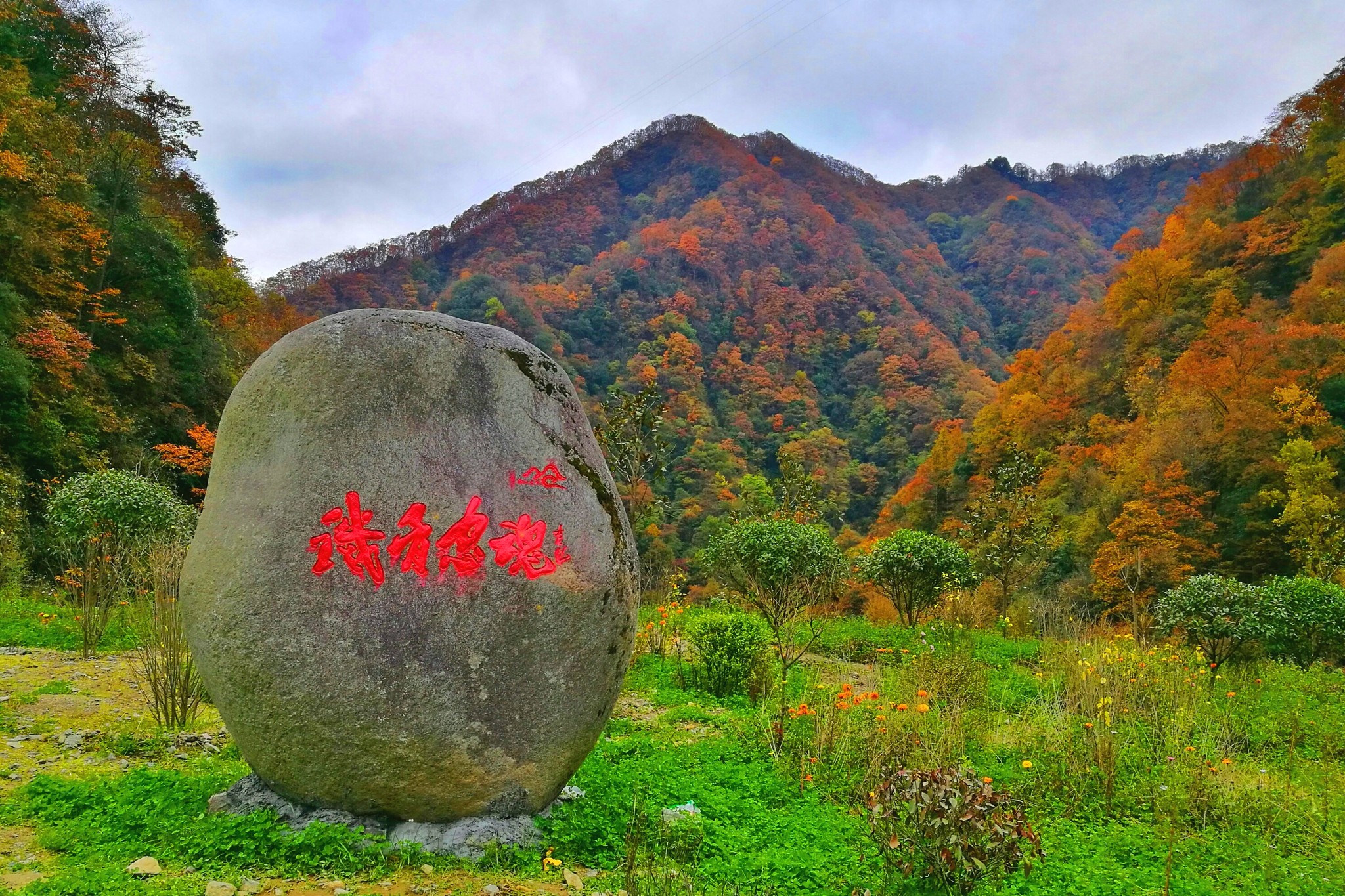 光雾山：桃园秋浩荡 万叶醉西风