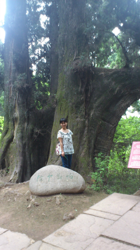 普安县有多少人口_普安县龙溪石砚小学(2)