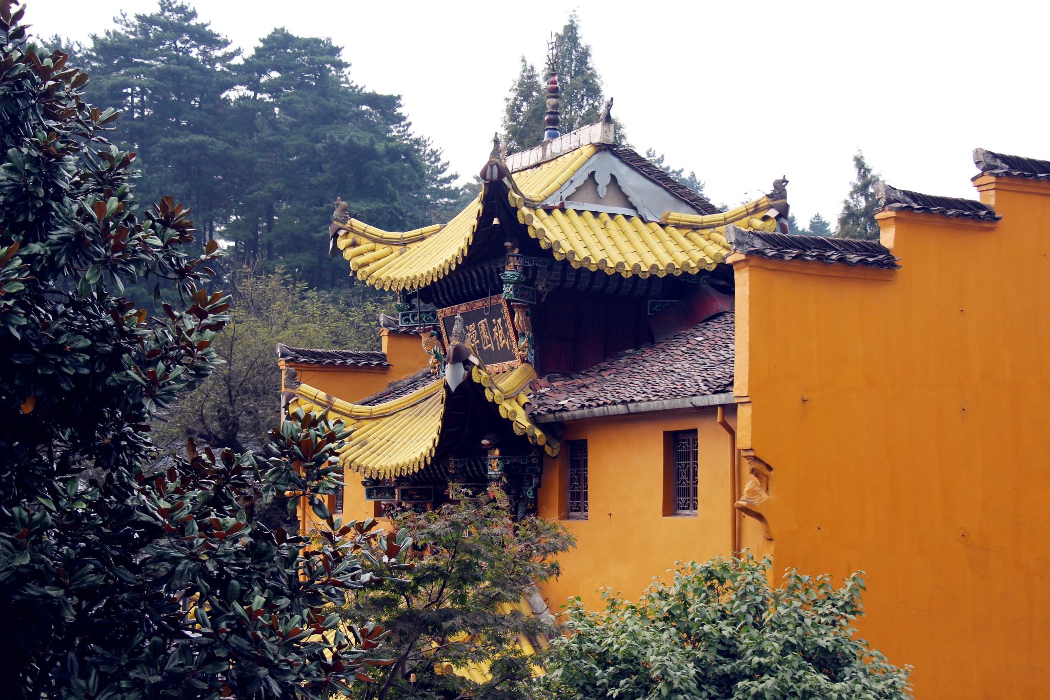 九华山游记（二）——化城寺，百岁宫，万佛塔...