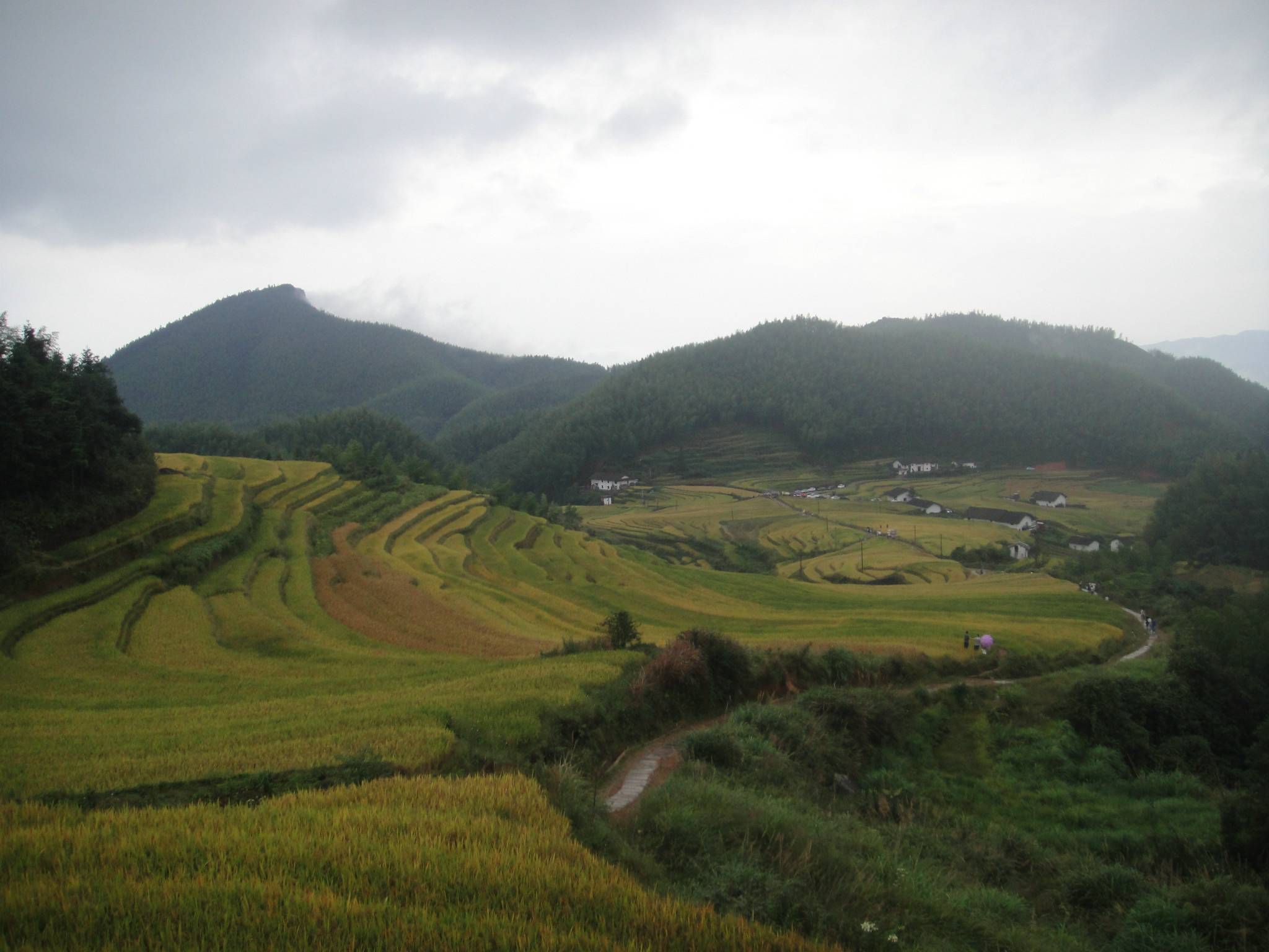 2015年10月4-5日（崇义县上堡梯田、大余县丫山、南雄市龙华山温泉）_游记