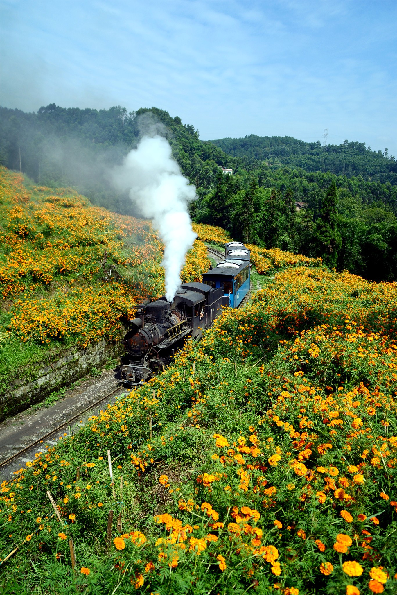 四川成都,都江堰,青城山,九寨沟,黄龙,宜宾李庄,乐山大佛,嘉阳小火车