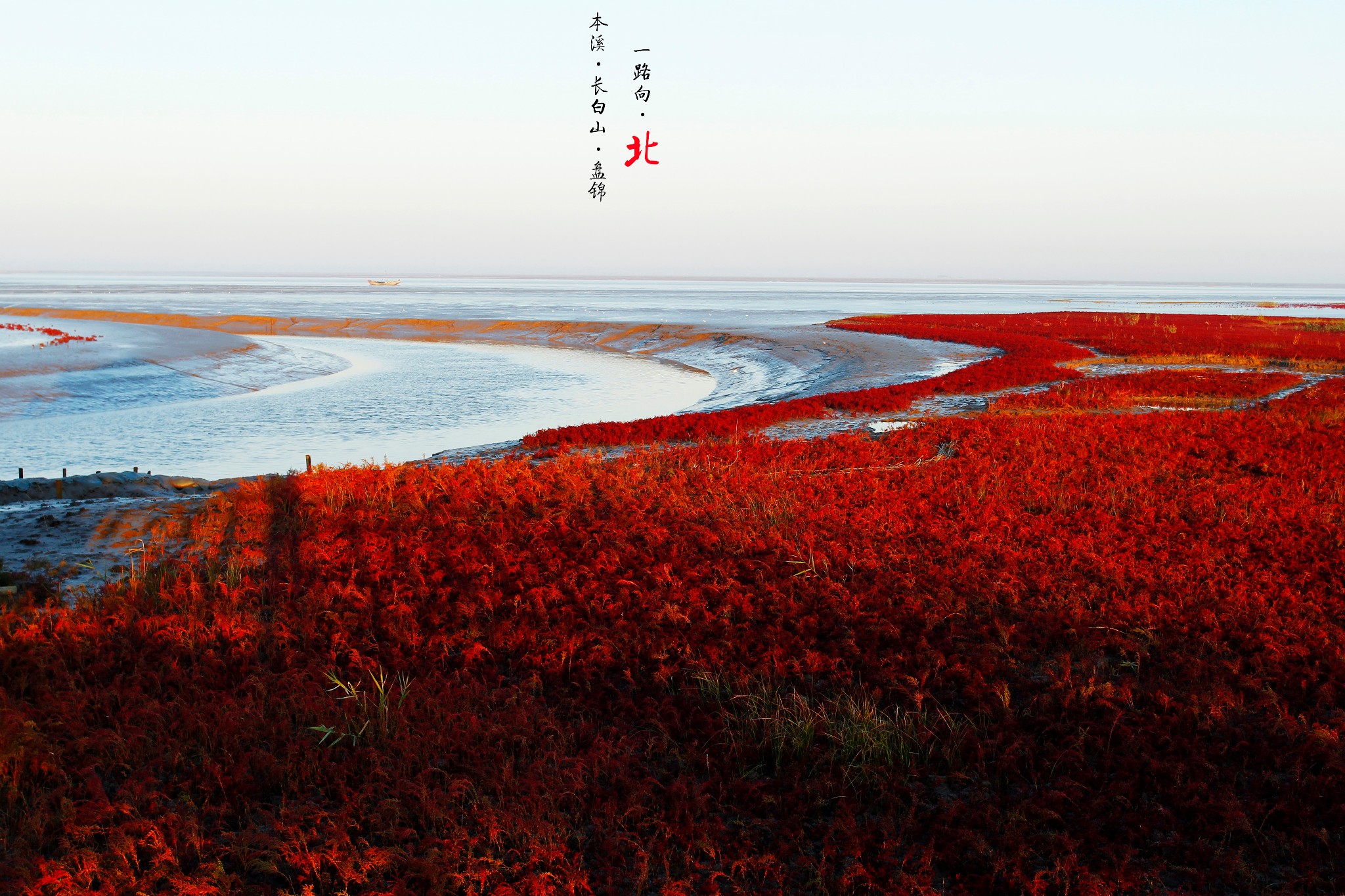 天下奇观红海滩：地球唯一的红色海岸，秋天最美的血色浪漫 - 知乎
