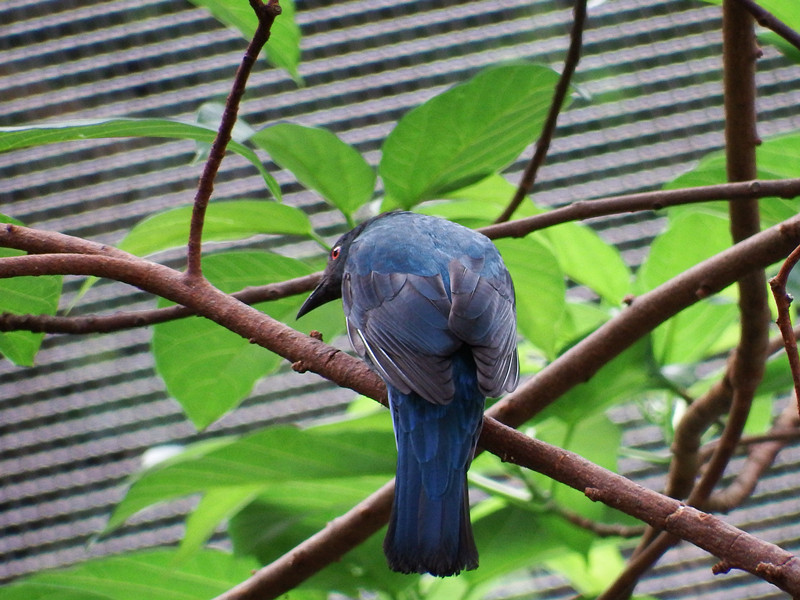 wKgBpVUiglqARw3JAAKv5U5yz_s50.jpeg?imageView2%2F2%2Fw%2F600%2Fh%2F600%2Fq%2F90