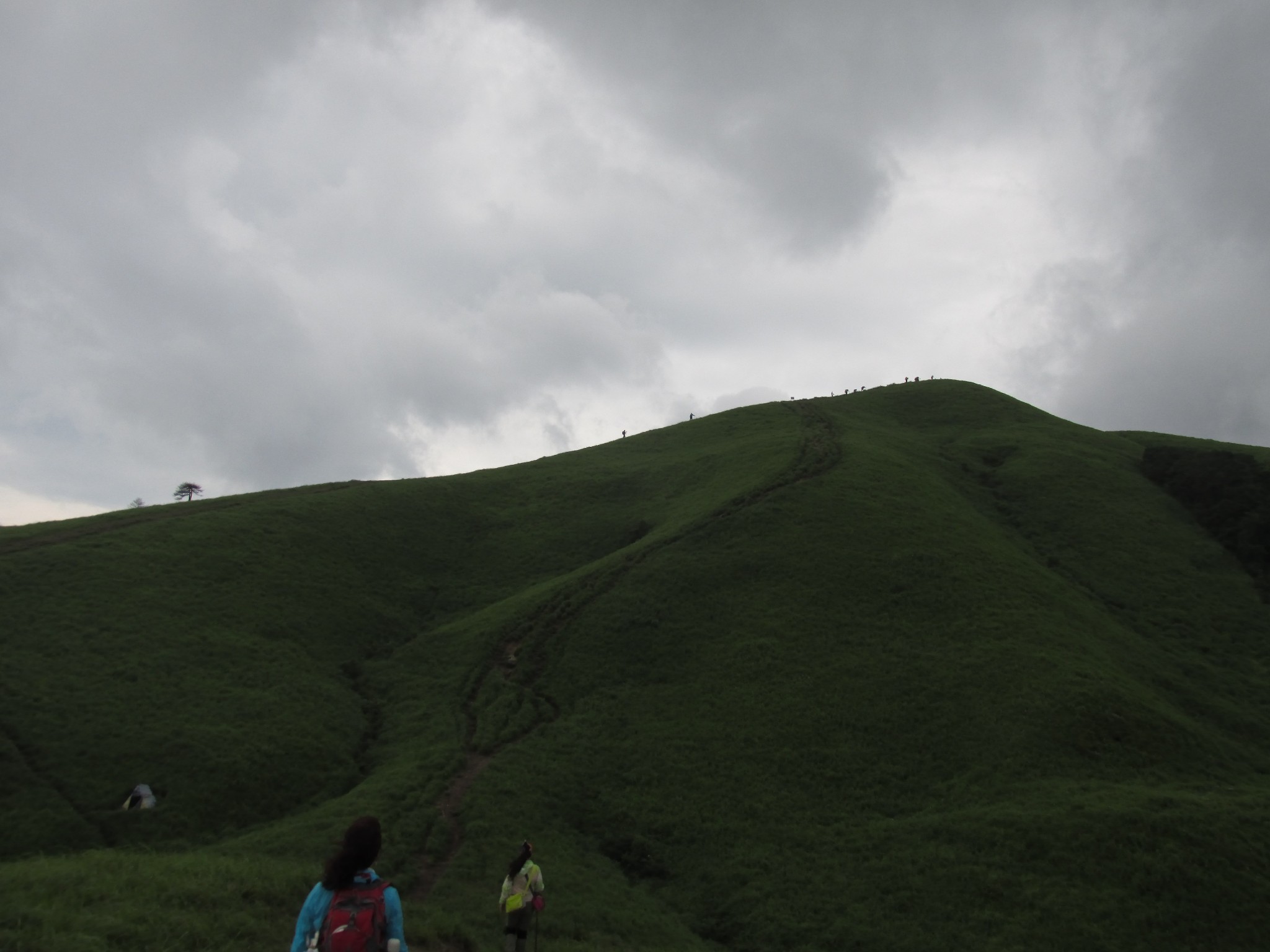 wKgBpVWYi96AcZQIAAS0BxwPsTY11.jpeg?imageView2%2F2%2Fw%2F600%2Fh%2F600%2Fq%2F90