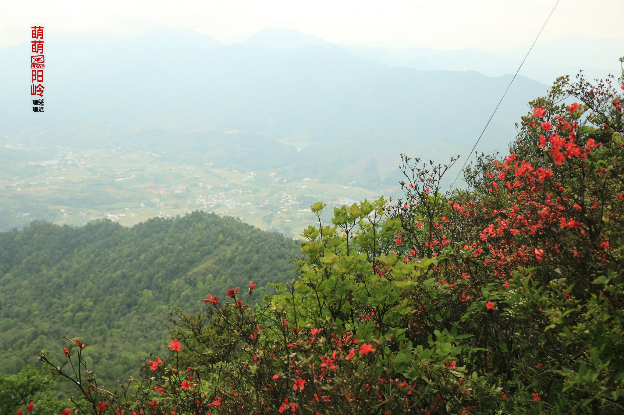 萌萌爱阳岭（空气负离子浓度值最高的中国风景区）