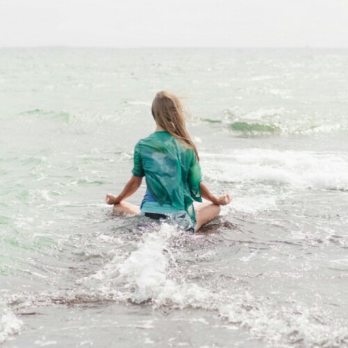 一共有四只木马