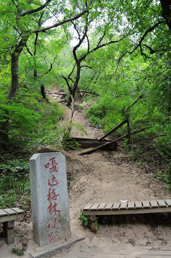 大青沟和英雄有了这天下奇缘,嘎达梅林最后的脚印便永远留在这千古