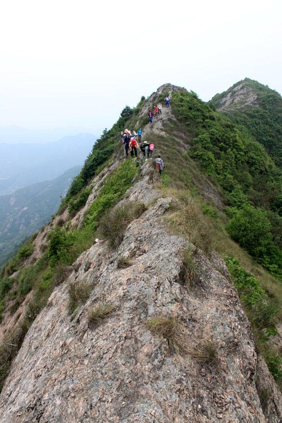 龙山有多少人口_古越龙山黄酒多少度(2)