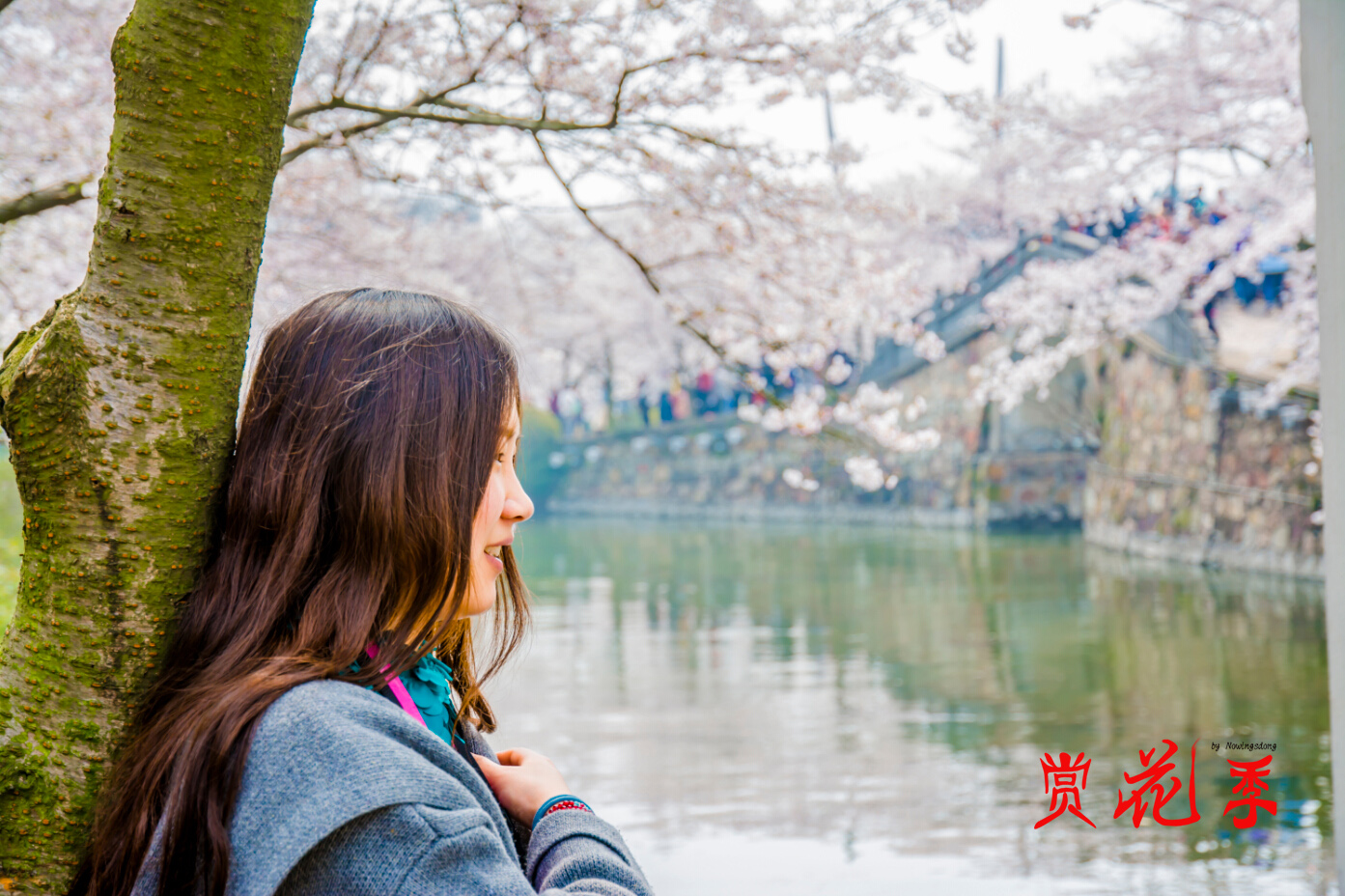 【蜂首纪念】#花样游记大赛#醉~无锡春景