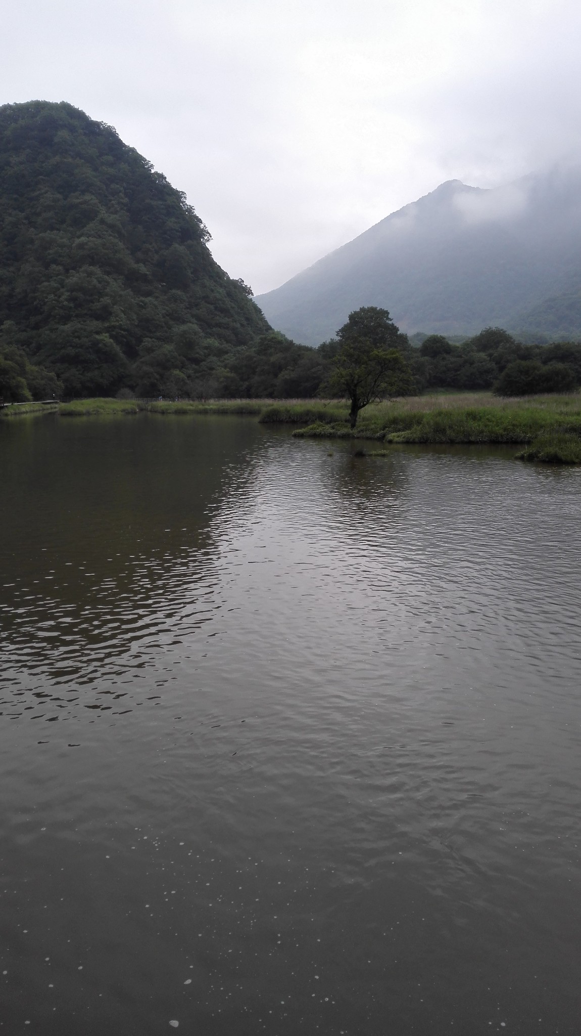 神农架多少人口_神农架野人