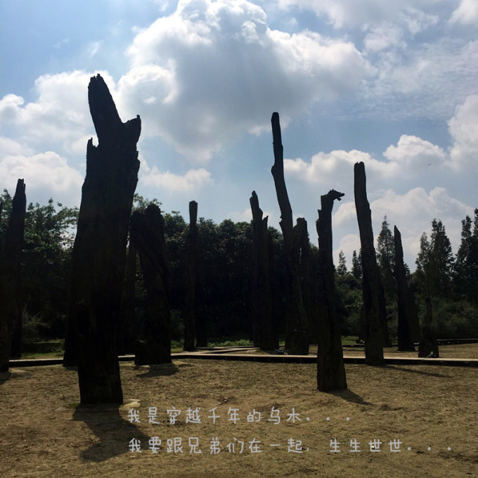 四日成都【成都市内都江堰青城山】,成都v攻略攻略云养成百度痴汉攻略图片