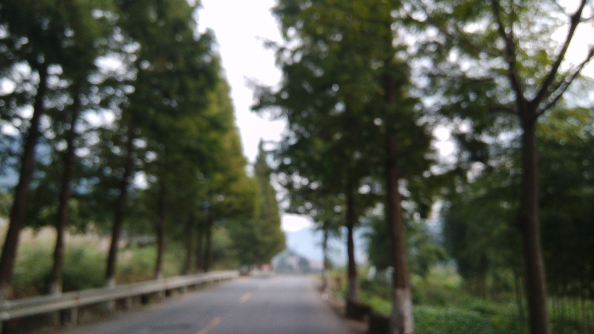 浙里诸暨～想了三年的三界尖。。。。_游记