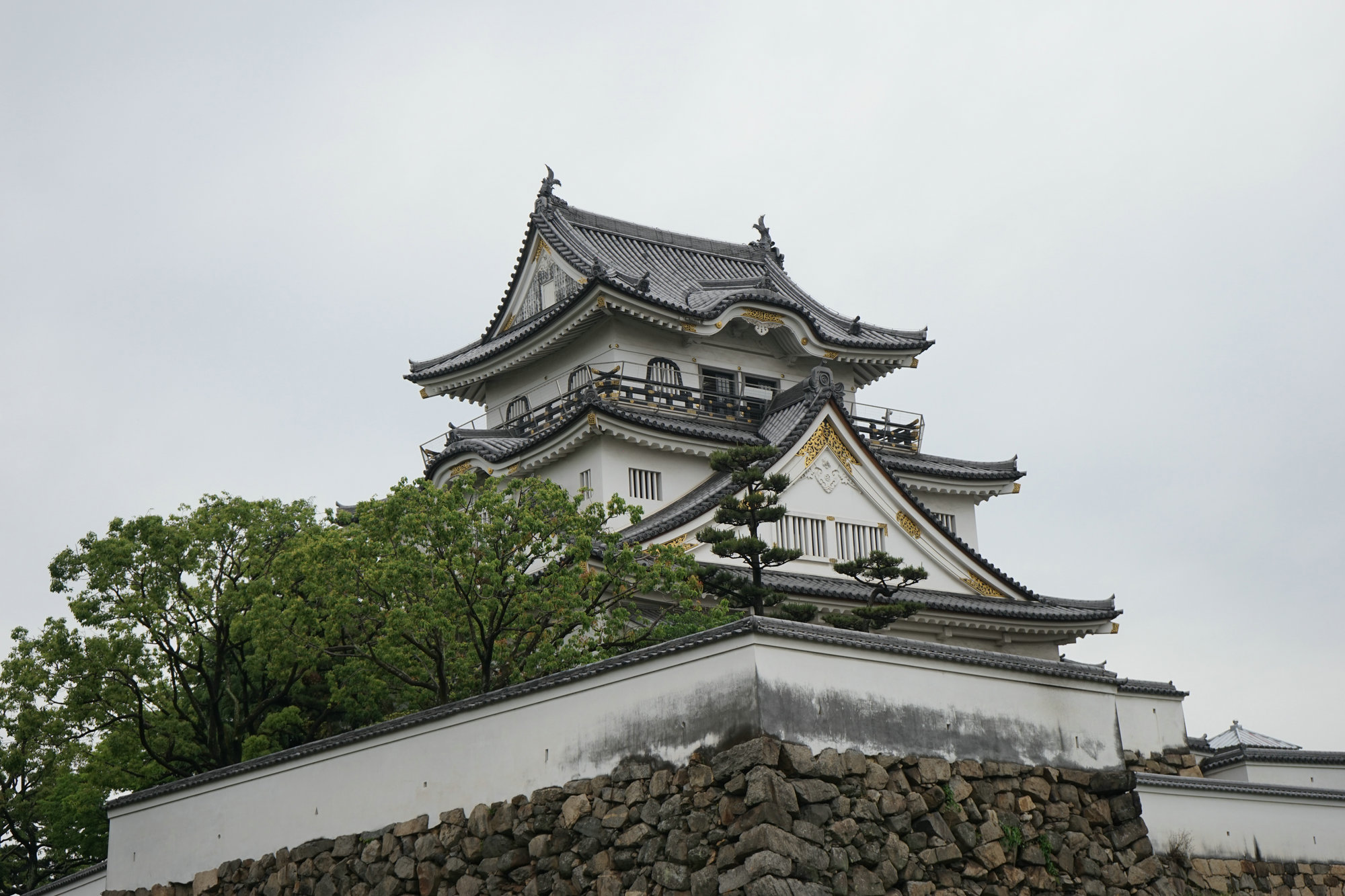 岸和田市图片