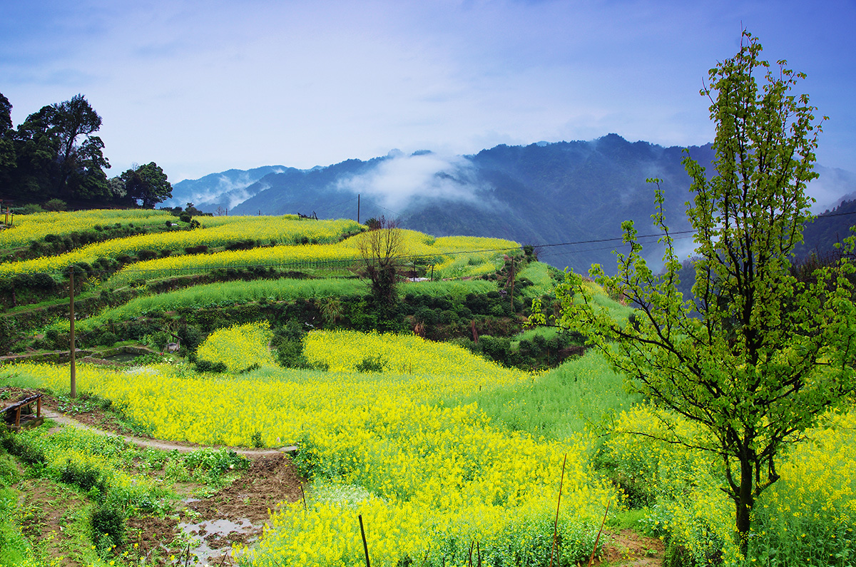 图片来源于用户:unicron2010(三)西线游山村,考水,坑头,孔村,豸峰这