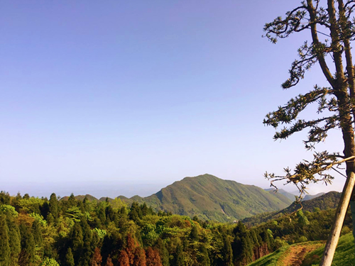 2天1晚穷游华蓥山必读攻略