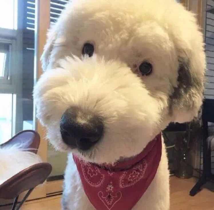 蒋梦娇