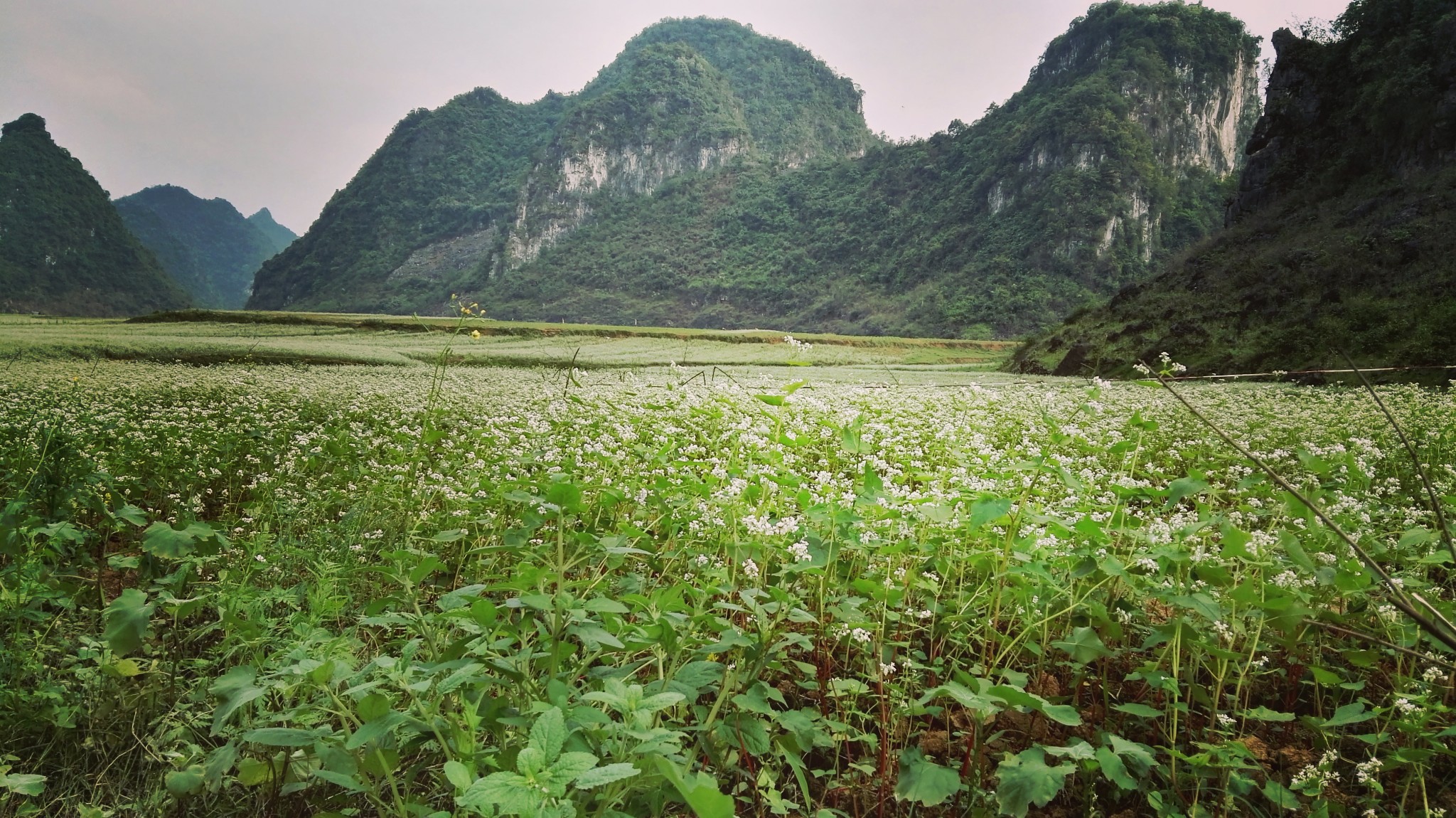 “#游记小赛#”一场说走就走的随兴1日游~~~