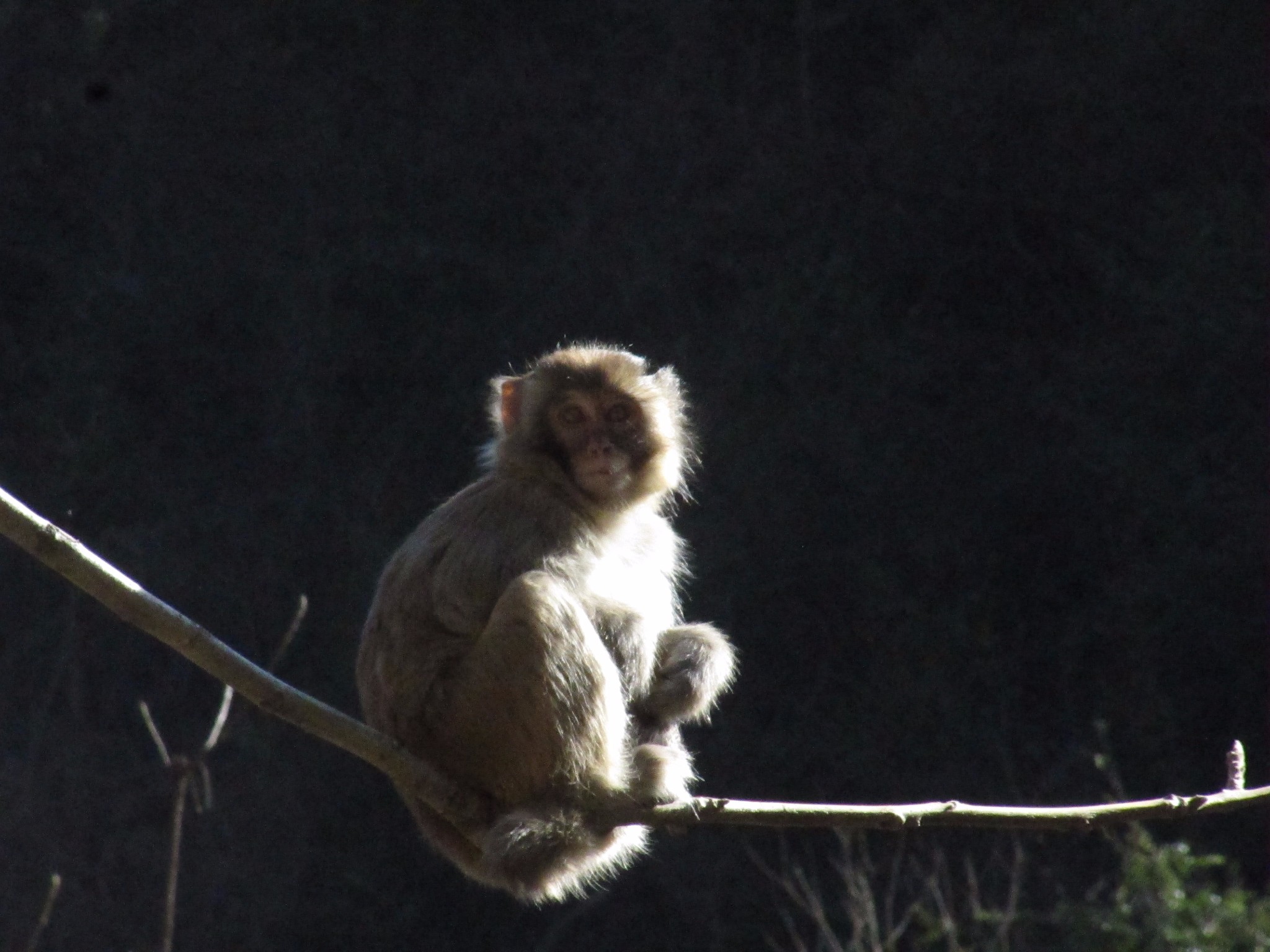 【Flicka's travel life】雪日武当山，寒意暖阳天!_游记